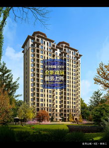 金灣山城 山海之間的品質(zhì)棲居，全景呈現(xiàn)