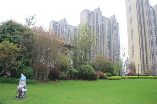 大連房地產(chǎn)市場動態(tài)觀察 機遇與挑戰(zhàn)并存